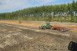 John Deere 8430 Top Down 10.jpg
