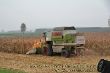 Claas Commandor 115CS_10.JPG
