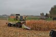 Claas Commandor 115CS_07.jpg