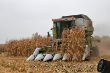 Claas Commandor 115CS_06.JPG