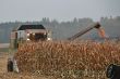 Claas Commandor 115CS_03.JPG