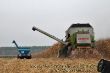 Claas Commandor 115CS_02.JPG