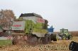 Claas Commandor 115CS_01.JPG