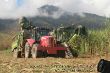 Massey Ferguson Zuckerrohr_02.JPG
