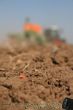 Fendt_Vario_Amazone_EDX6000T_08.JPG
