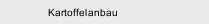Kartoffelanbau